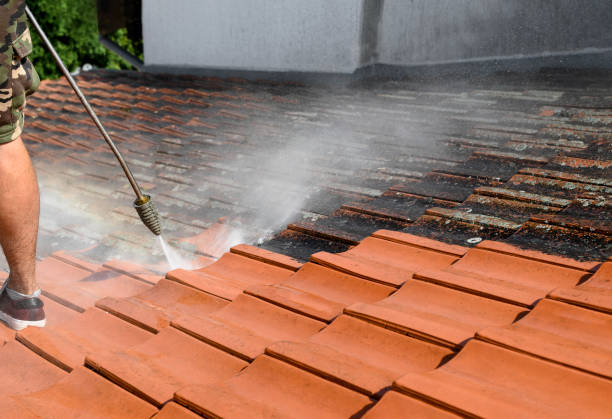 Best Concrete Pressure Washing  in Bridge City, LA