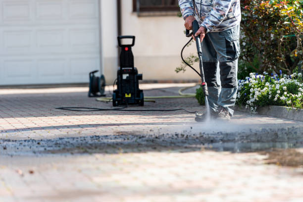 Best Affordable Pressure Washing  in Bridge City, LA