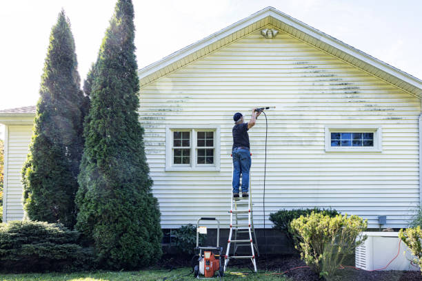 Pressure Washing Services for Businesses in Bridge City, LA