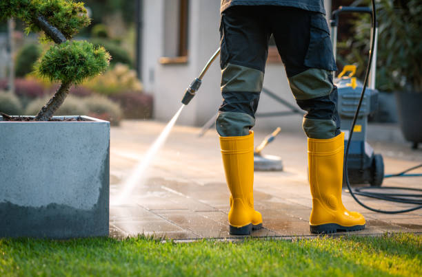Best Roof Power Washing Services  in Bridge City, LA